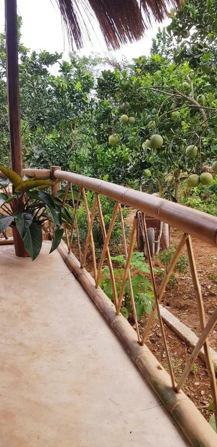 Family Homestay Ba Vi Exterior foto